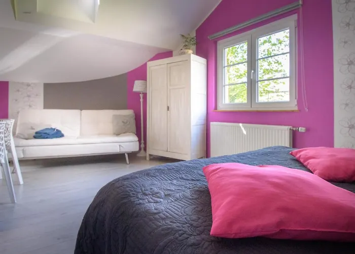 La Maison De Regine 3* Jalhay